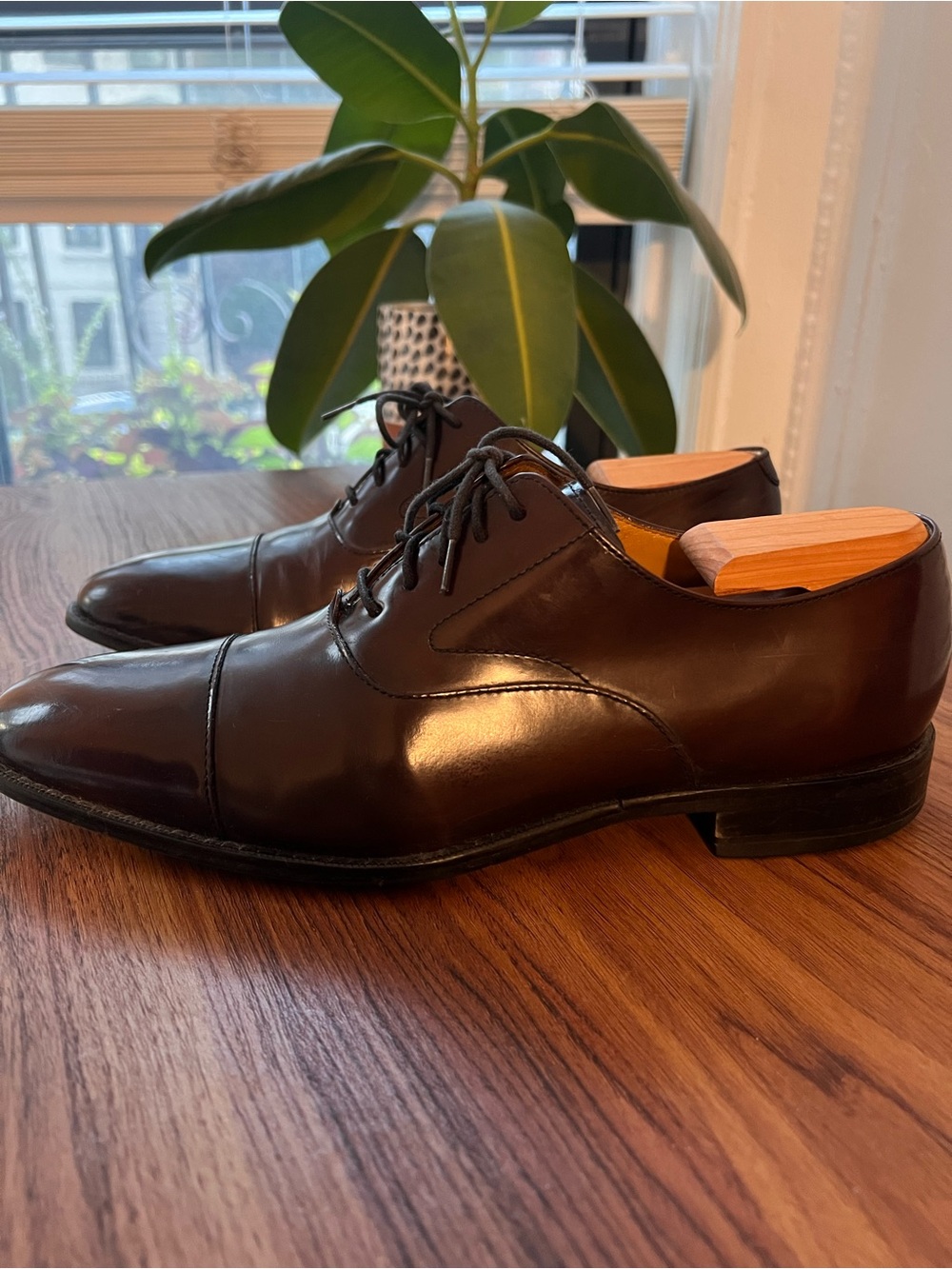 Cole Haan Men's Cap-Toe Oxford Dress Shoes - Brown